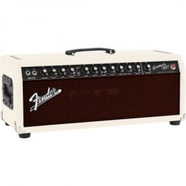 Amplificador Cabezal Fender Bassman 100T 2249100400 - Envío Gratuito