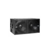 Bafle amplificado arreglo lineal DVA-S20
