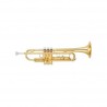 Trompeta Yamaha YTR-3335 Semi-Profesional en Bb