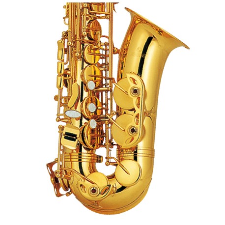 Saxofon Alto Princess AS-200GL (version especial) Bb Oro Laquelado - Envío Gratuito