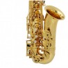 Saxofon Alto Buffet Crampon Serie 100 BC8201