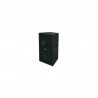 Bocina De 15 Y Driver SK-115