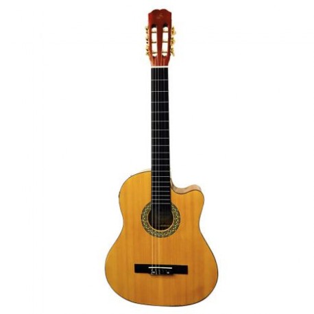 Guitarra Electro Acustica Symphonic CG209CE - Envío Gratuito