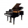 Piano de Cola Pearl River de Media Cola GP188
