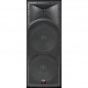 Bafle INT-252 Cerwin Vega