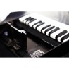 K-25M Roland Teclado para Modulos